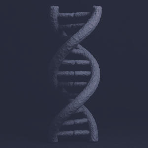 DNA portrait